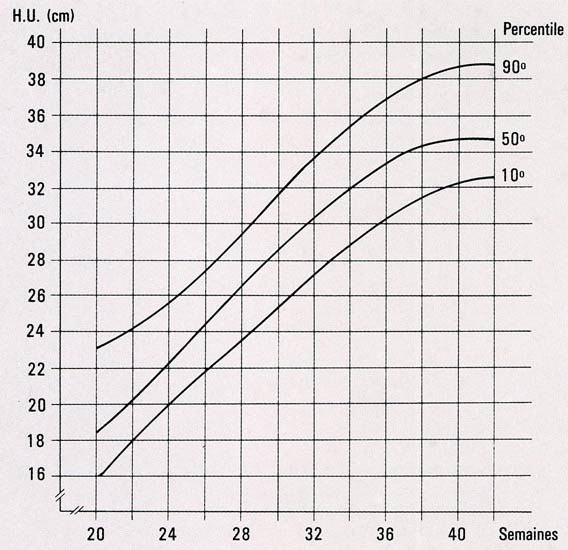 Hauteur du fond utérin en fonction de l'âge de la grossesse